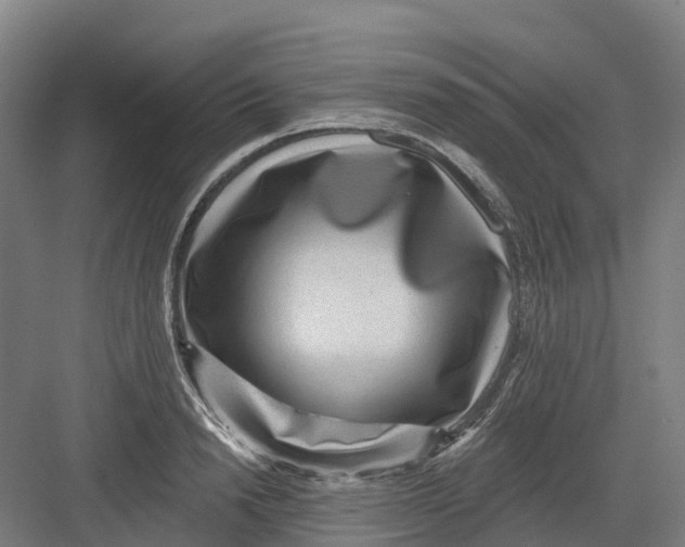 X0000082760846200702162023