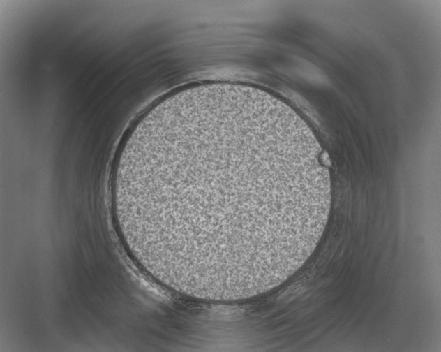 X0000082760848200702162023