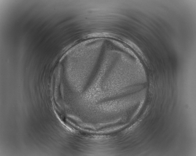 X0000082760849200702162023