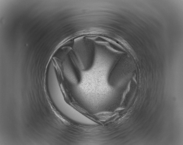 X0000082760850200702162023