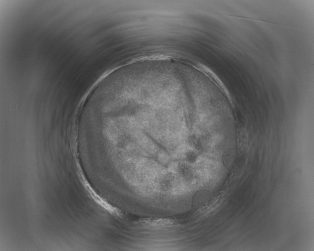 X0000082760851200702162023