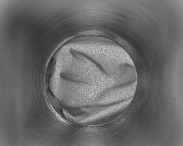 X0000082760852200702162023