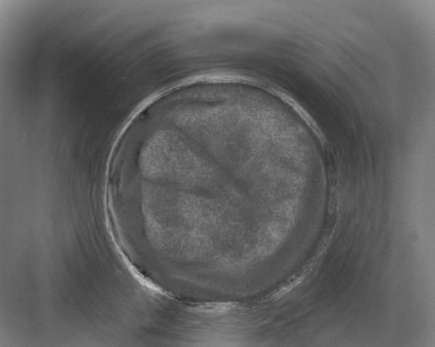 X0000082760853200702162023