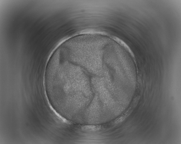 X0000082760855200702162023