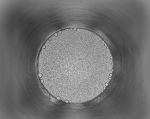 X0000082760856200702162023