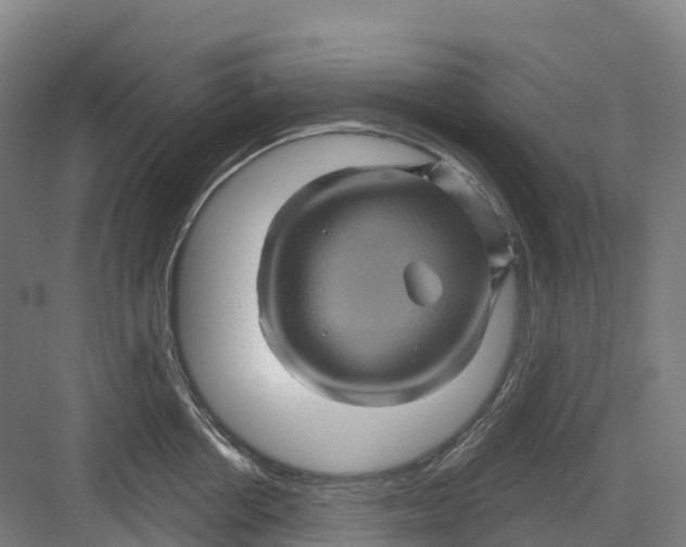 X0000082760858200702162023