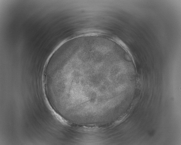 X0000082760859200702162023