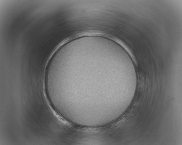 X0000082760861200702162023