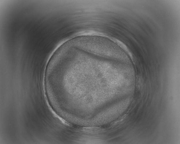 X0000082760863200702162023