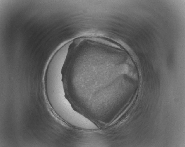 X0000082760864200702162023