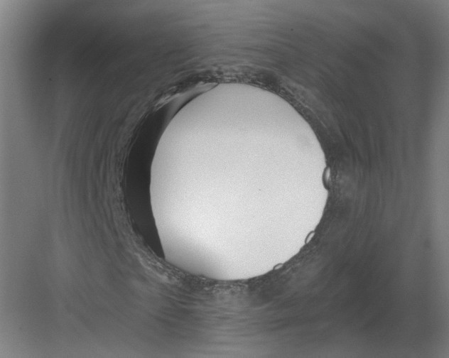 X0000082760865200702162023