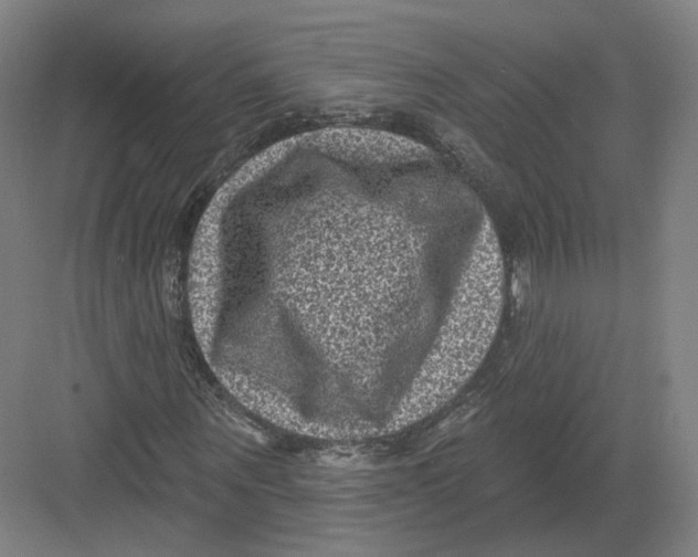 X0000082760867200702162023