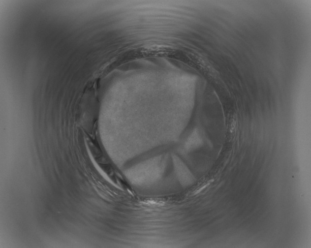 X0000082760868200702162023