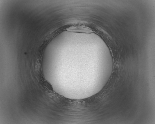 X0000082760869200702162023