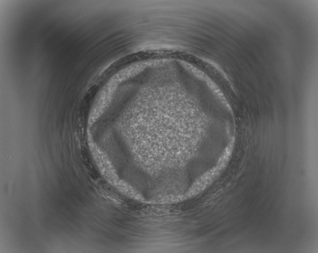 X0000082760871200702162023