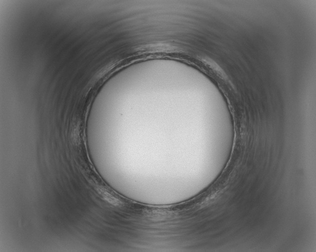 X0000082760873200702162023