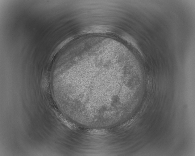 X0000082760874200702162023