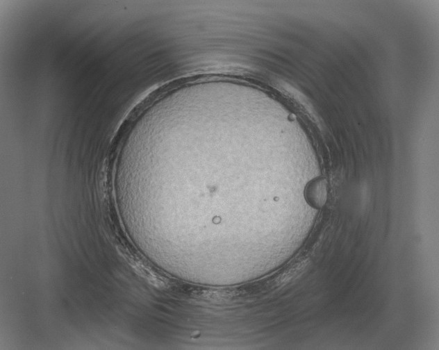 X0000082760875200702162023