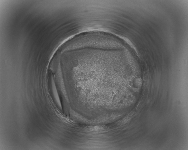 X0000082760879200702162022