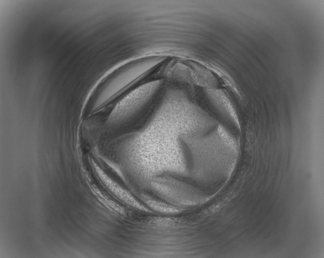 X0000082760880200702162022