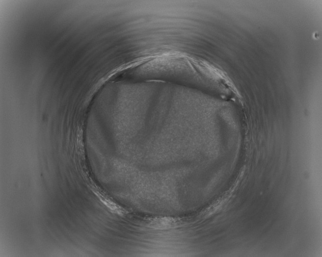 X0000082760881200702162022