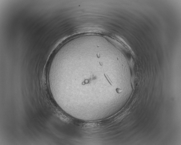 X0000082760883200702162022