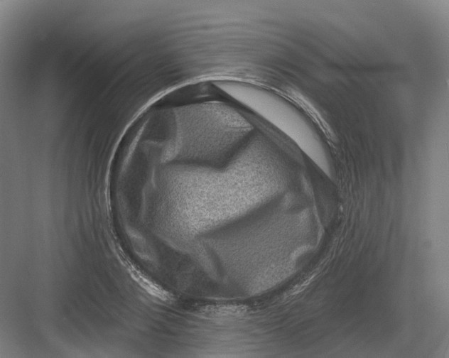 X0000082760884200702162022