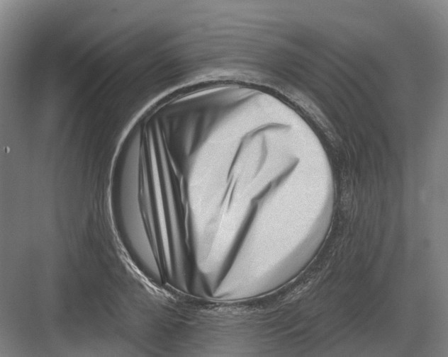 X0000082760888200702162022