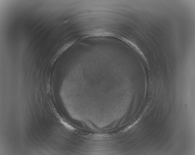 X0000082760889200702162022