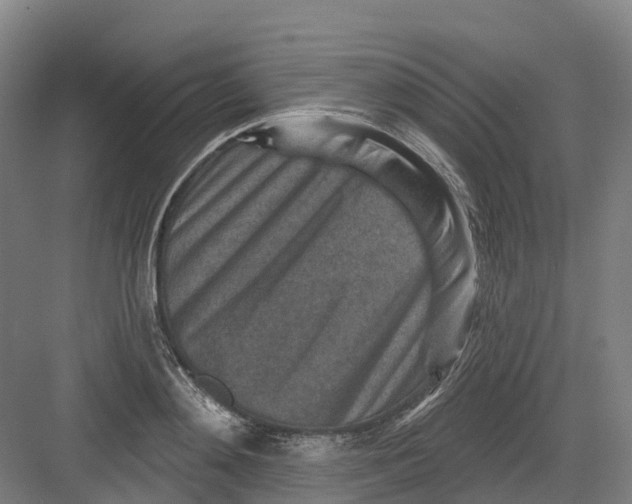 X0000082760892200702162022