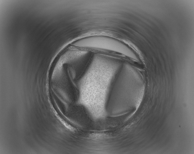 X0000082760894200702162022