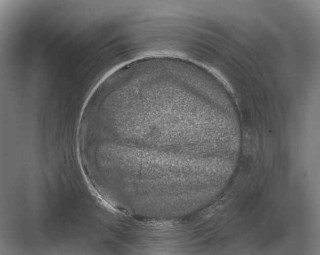 X0000082760895200702162022