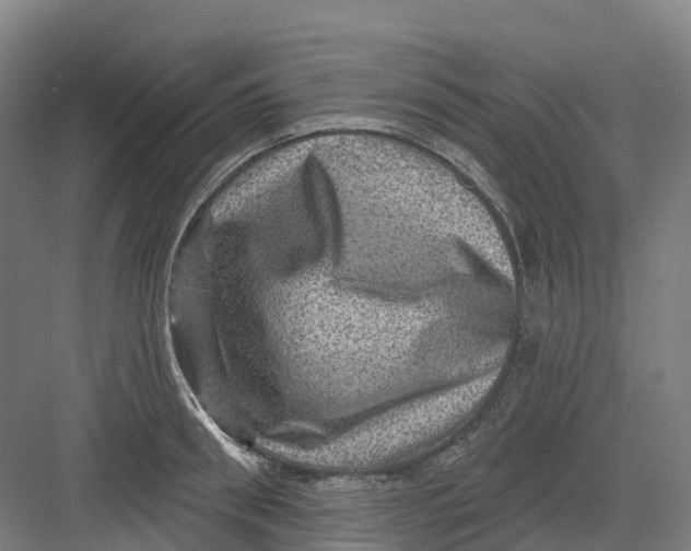 X0000082760898200702162022