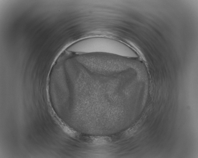 X0000082760899200702162022