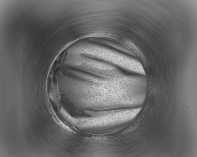 X0000082760900200702162022