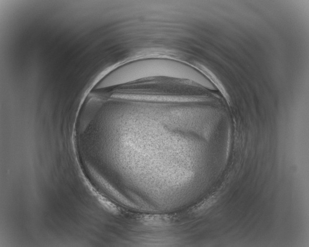 X0000082760901200702162022