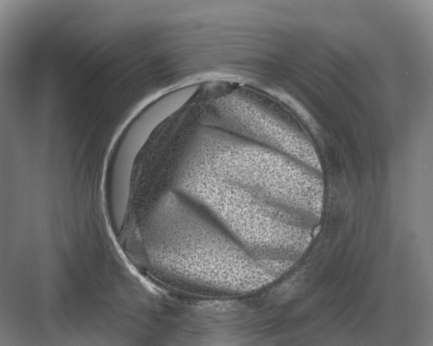 X0000082760902200702162022