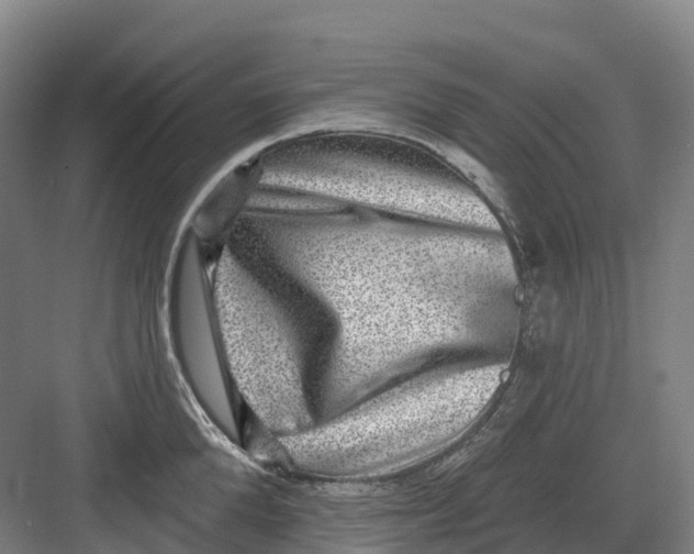 X0000082760904200702162022