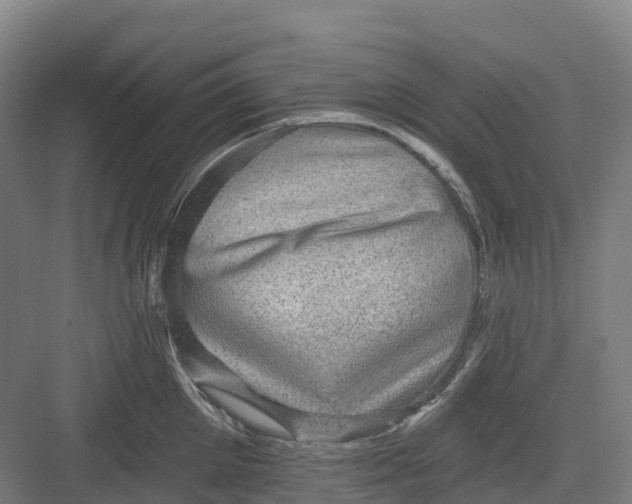 X0000082760905200702162022