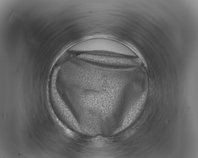 X0000082760906200702162022