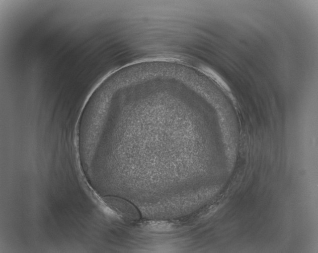 X0000082760907200702162022