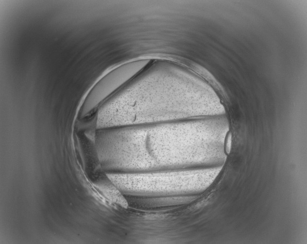 X0000082760908200702162022