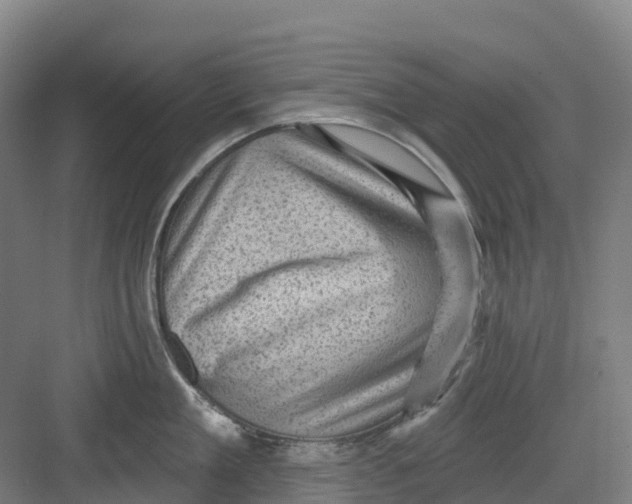 X0000082760909200702162022