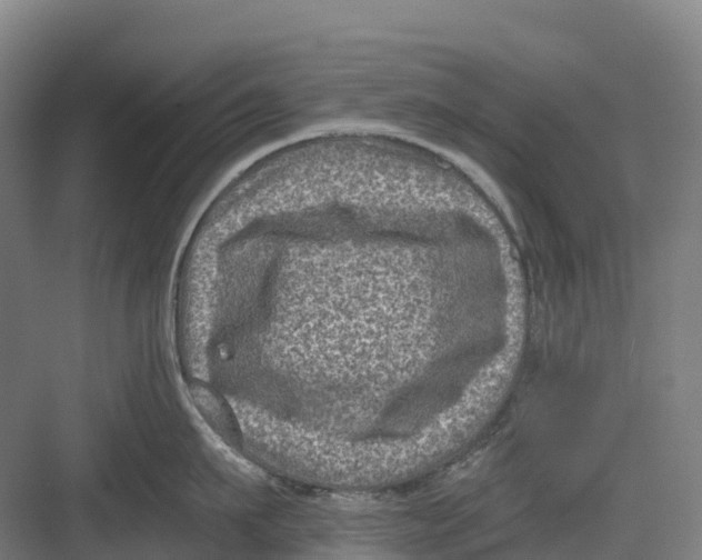 X0000082760911200702162022