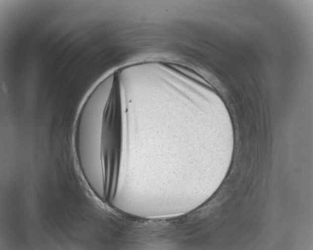 X0000082760912200702162022