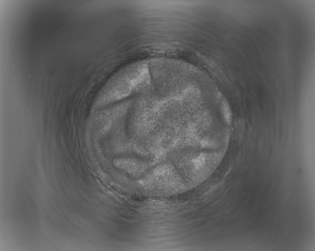 X0000082760913200702162021