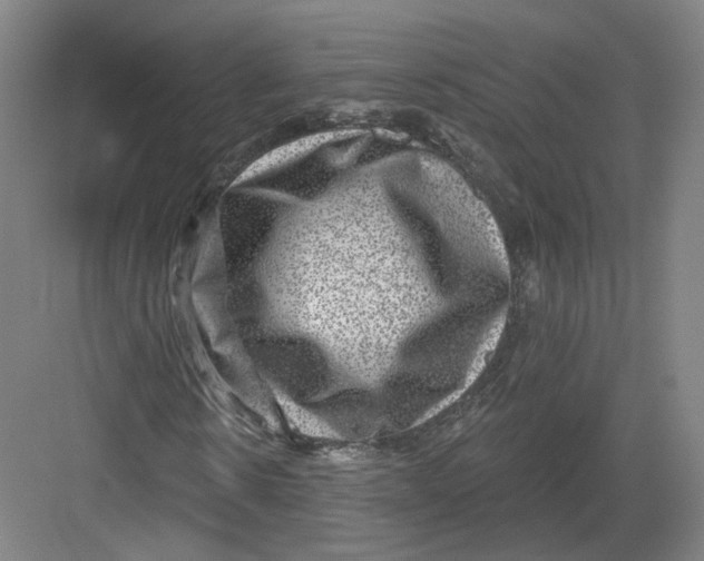 X0000082760914200702162021