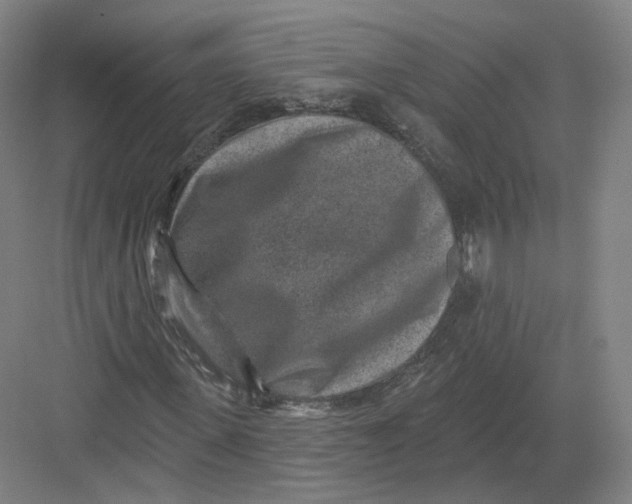 X0000082760915200702162021