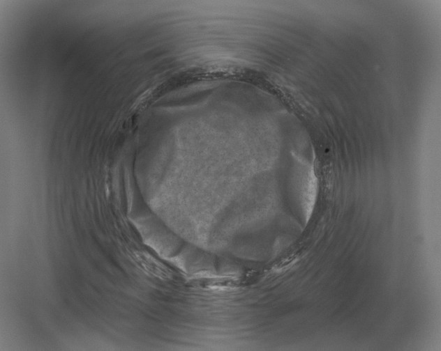 X0000082760916200702162021