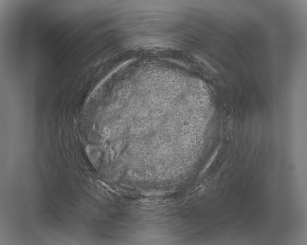 X0000082760917200702162021